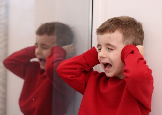 Crise no autismo: o que é, tipos, o que fazer e como prevenir (guia completo)